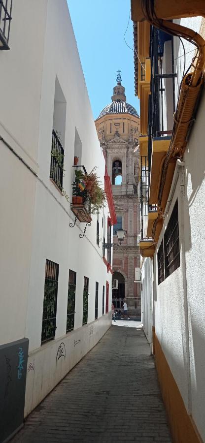 Appartement Apartamento Casco Historico Con Atico. à Séville Extérieur photo